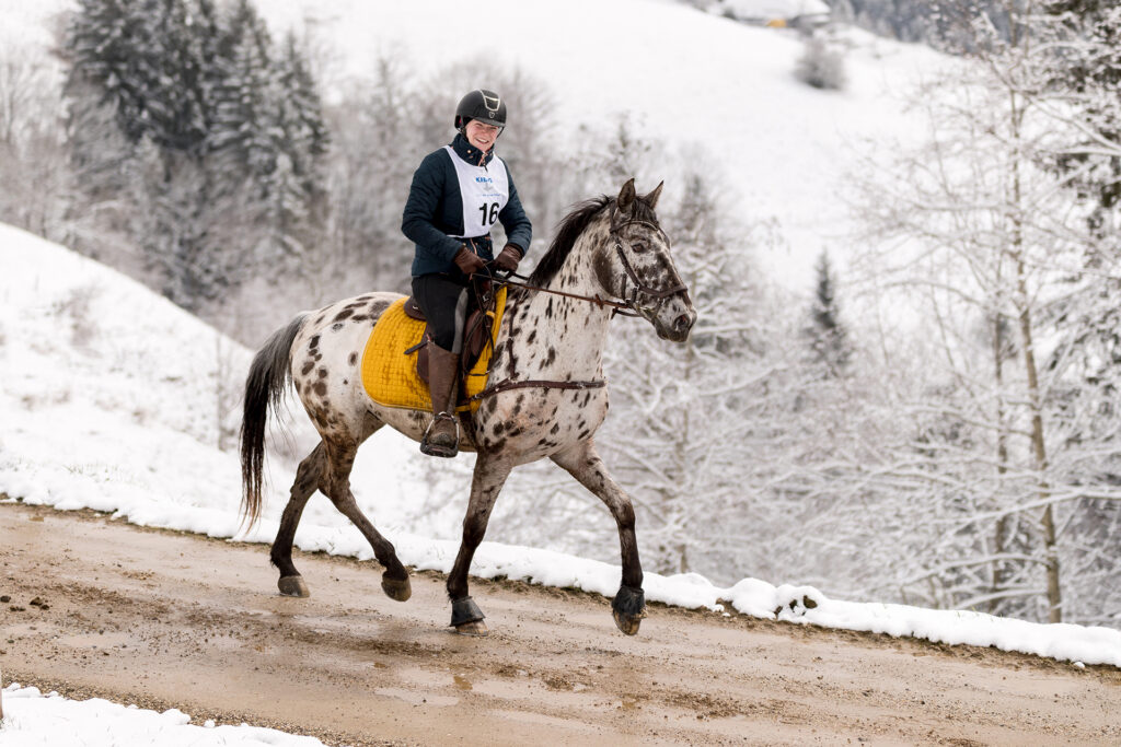 Distanzritt zur Luederenalp in Bern Appaloosa Pferd im Schnee
