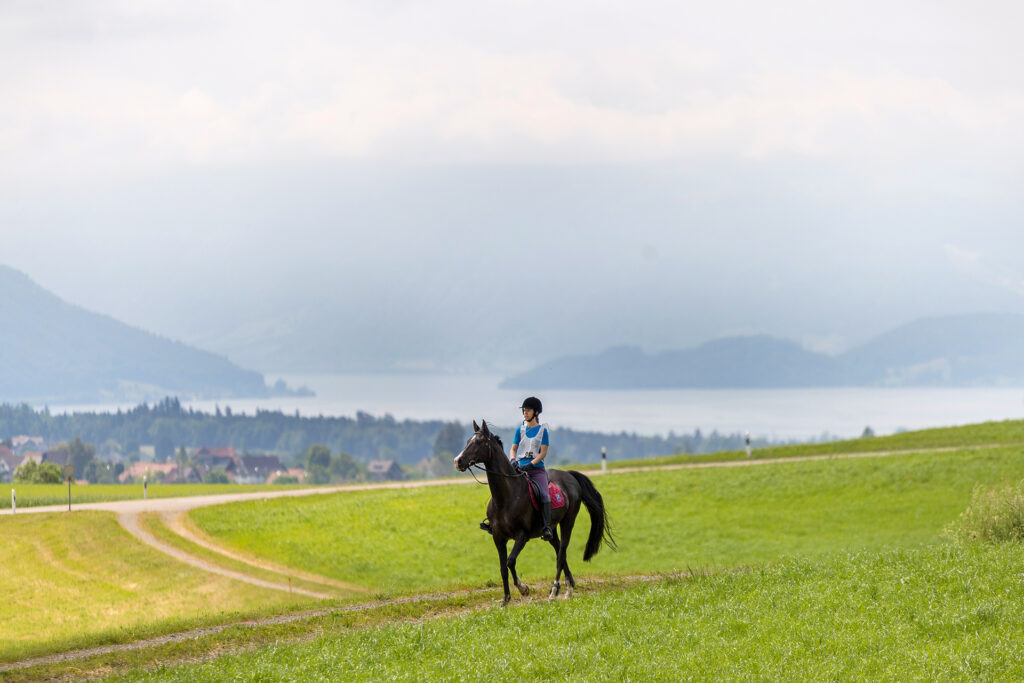 schwarzes Pferd auf der Strecke des Distanzritt am Albis ZH 2022 im Hintergrund ein See