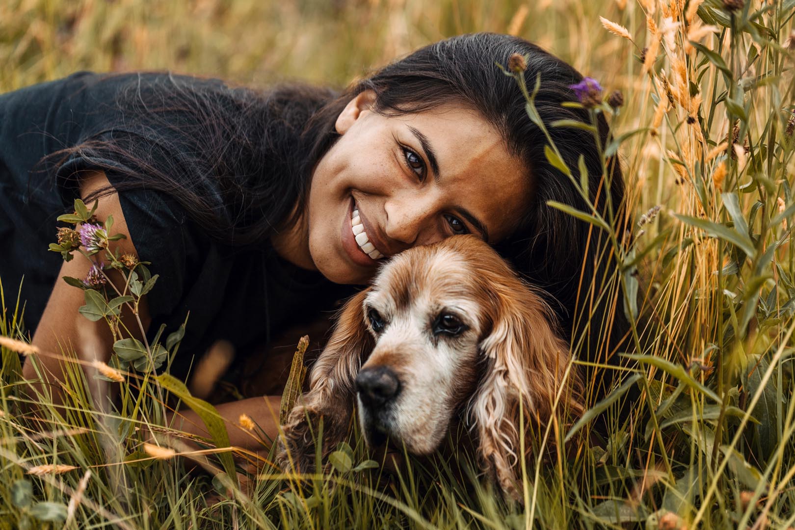 Hundefotoshooting mit Cockerspaniel draussen in der Natur im hohen Gras