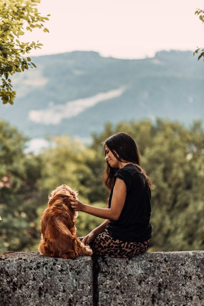 Hundefotoshooting mit Cockerspaniel draussen in der Natur