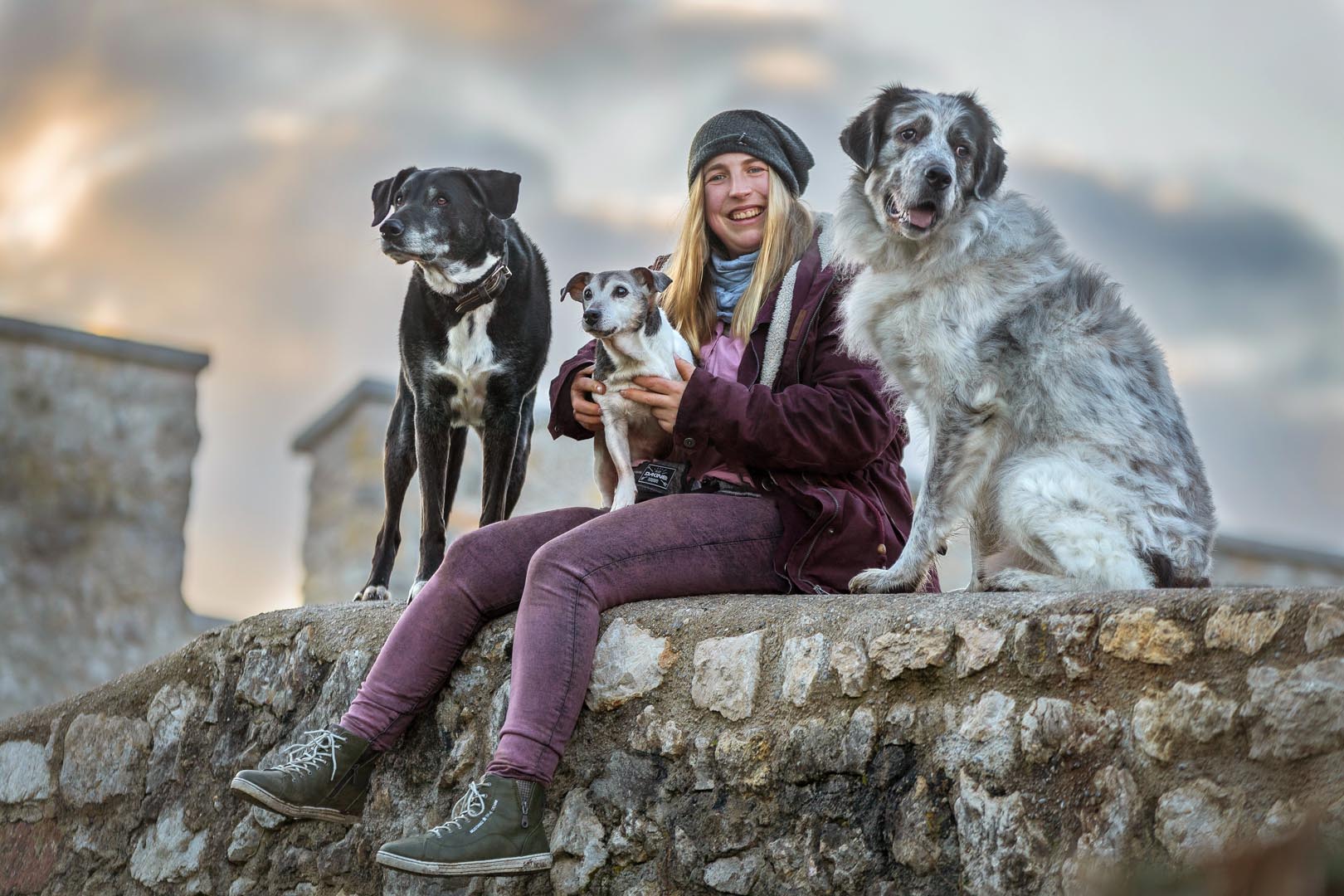 Hundefotoshooting mit grossen und kleinen Mischlingshunden und Herdenschutzhund draussen in der Natur