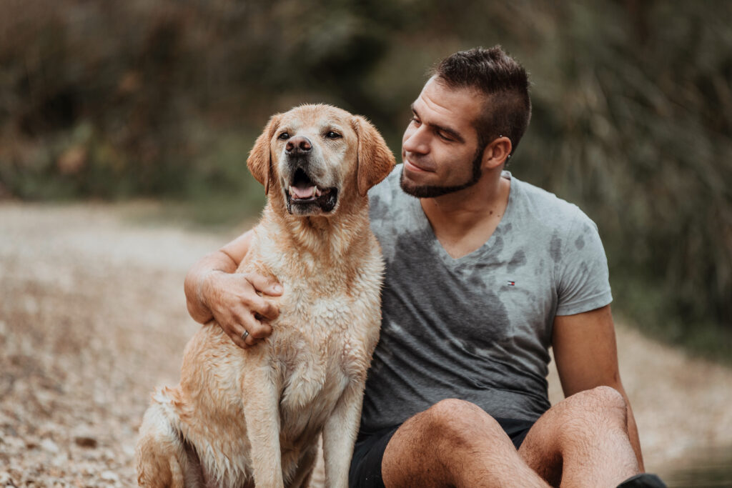 Heller Labrador Retriever bei einem Fotoshooting im Wasser