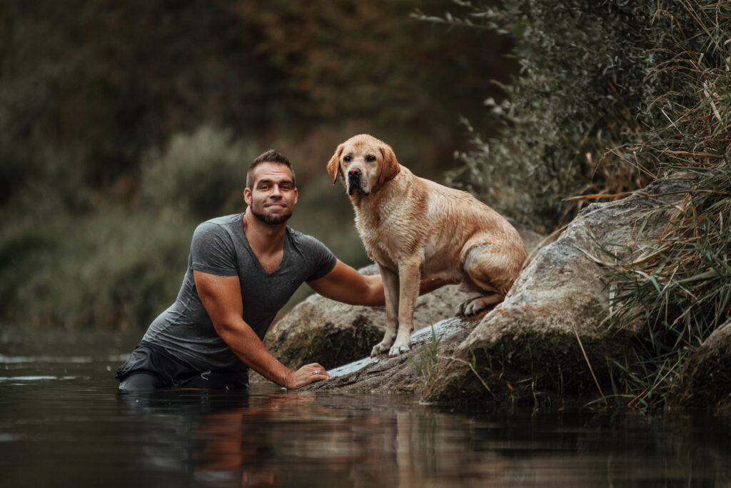 Heller Labrador Retriever bei einem Fotoshooting im Wasser