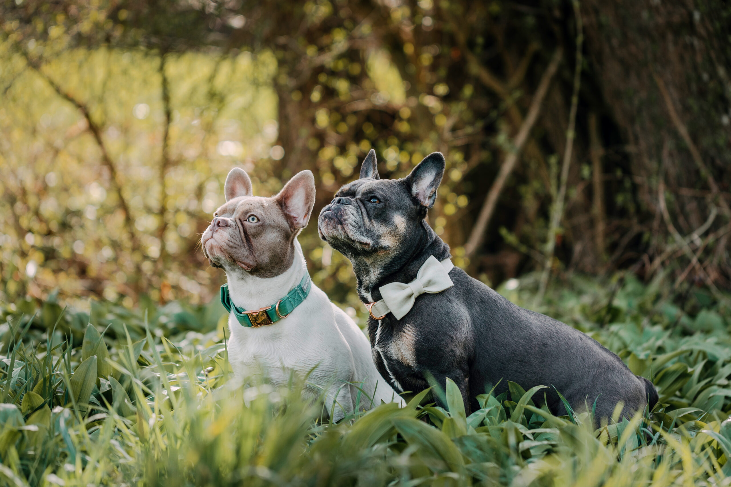 Fotoshooting Outdoor | Merlin & Sky | ⓒ Lea Styger 